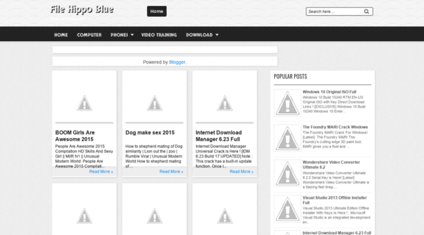 filehippoblue.blogspot.com