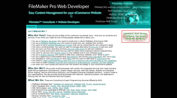 filemakerwebdeveloper.com