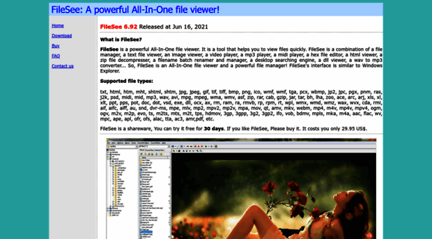 filesee.com