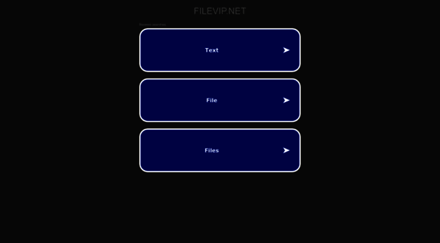 filevip.net