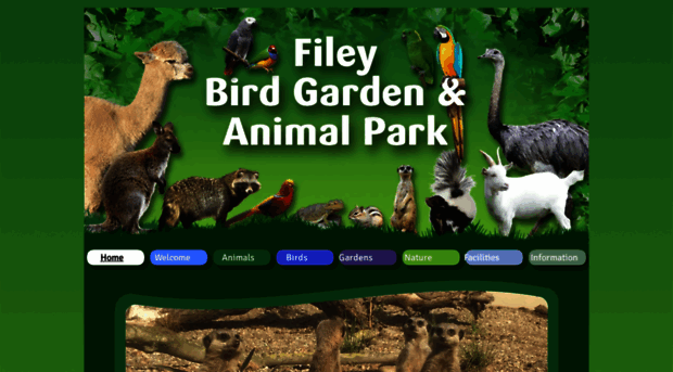 fileybirdgarden.com