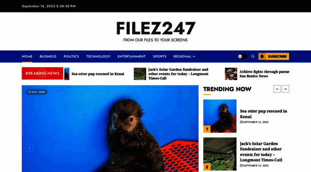 filez247.com