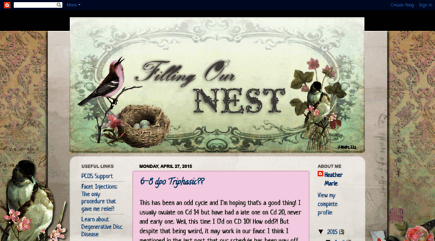 fillingournest1.blogspot.com