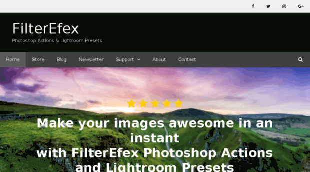 filterefex.com