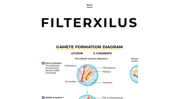 filterxilus.weebly.com