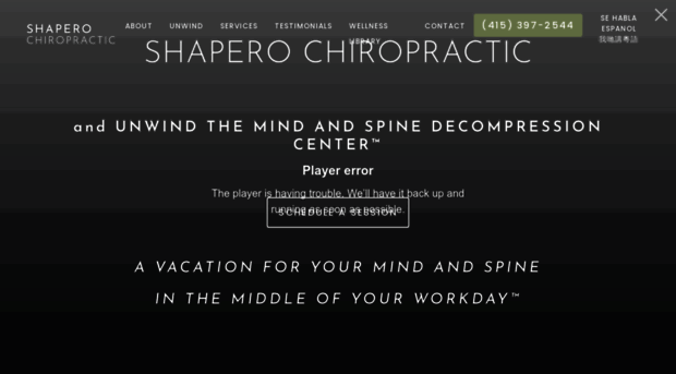 financialdistrictchiropractor.com