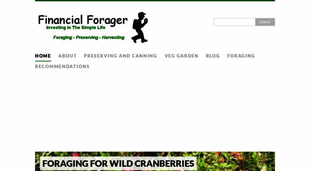 financialforager.com