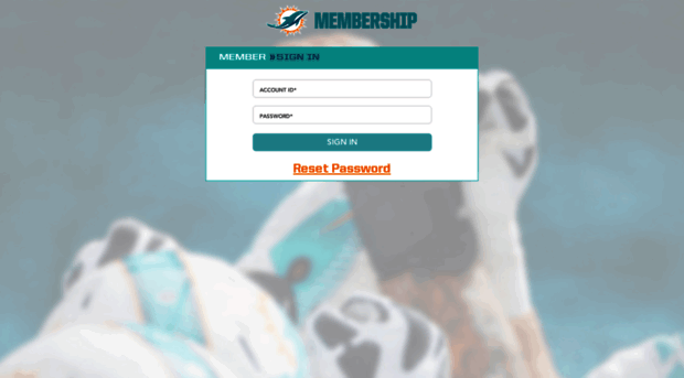 finclub.miamidolphins.com