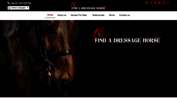 findadressagehorse.com