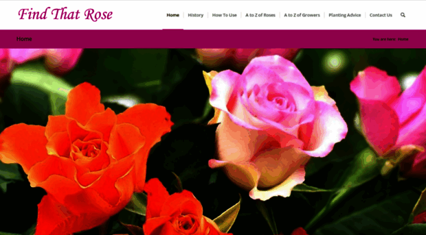 findthatrose.co.uk