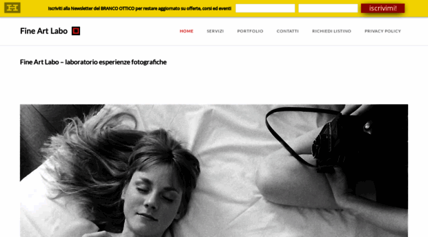 fineartlabo.com