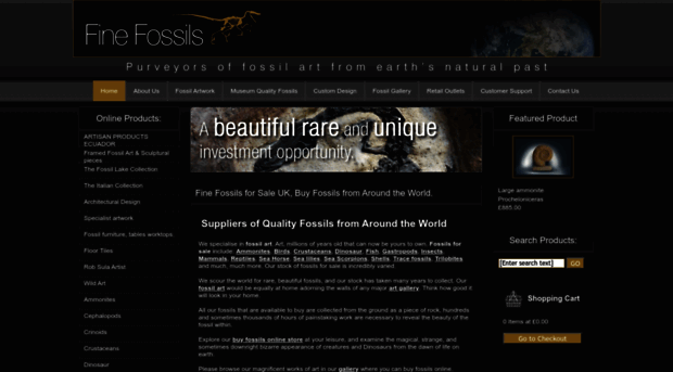 finefossils.com