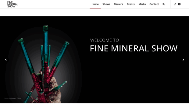 finemineralshow.com