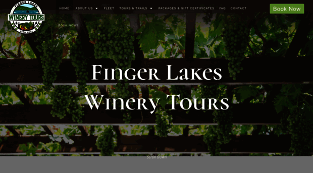 fingerlakeswinerytours.com