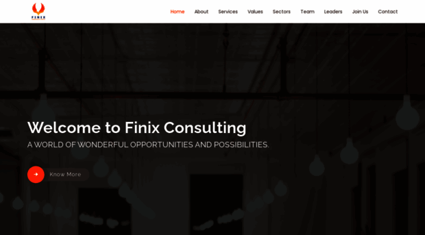 finixconsulting.in