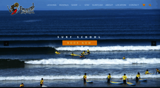 finmccoolsurfschool.com