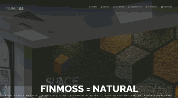 finmoss.com