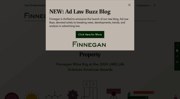 finnegan.com