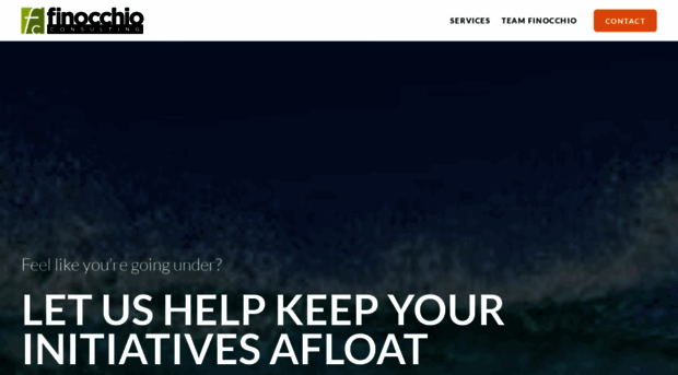 finocchioconsulting.com