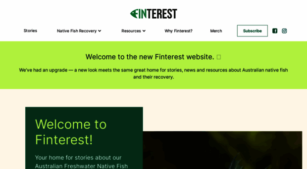 finterest.com.au