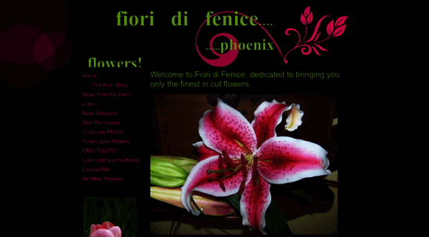 fioridifenice.com