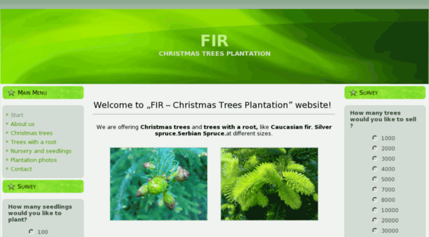fir-plantation.com