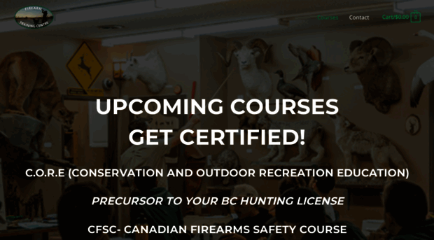 firearmsafetytrainingcourse.com