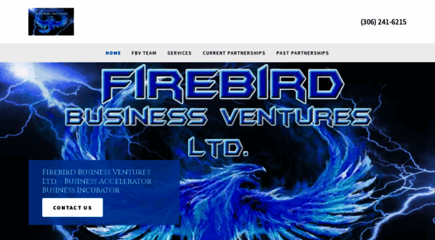 firebirdbusinessventures.ca