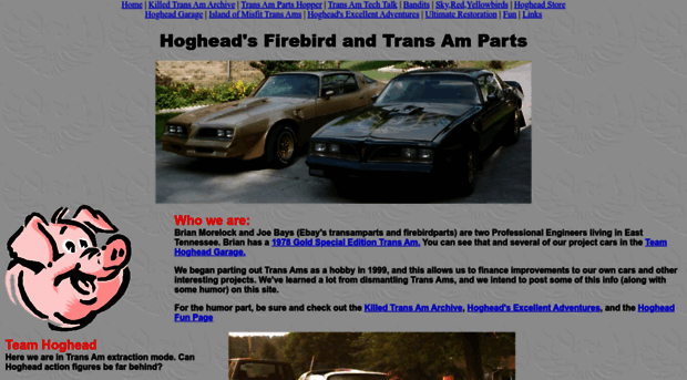 firebirdtransamparts.com