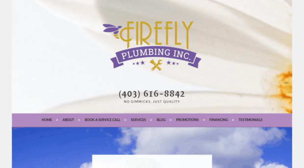 fireflyplumbing.com