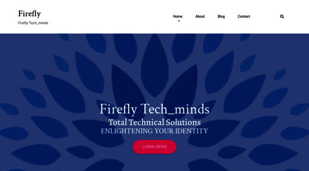 fireflytechminds.com