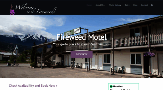 fireweedmotel.com