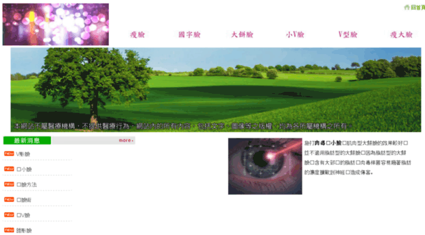 fireworks-in-miaoli.com.tw