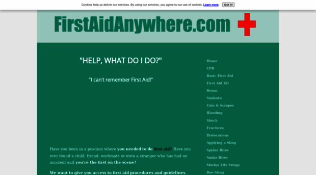 firstaidanywhere.com