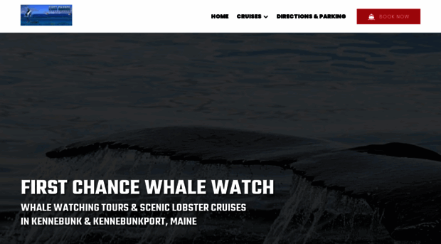 firstchancewhalewatch.com