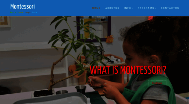 firstdcmontessori.com