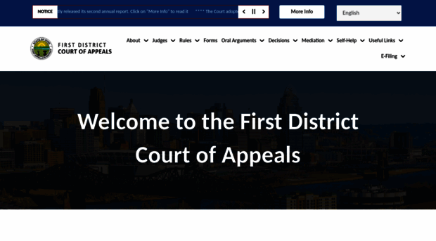 firstdistrictcoa.org