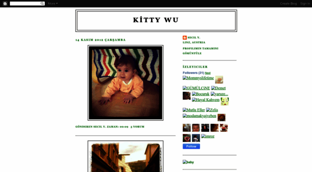 firstkittywu.blogspot.com