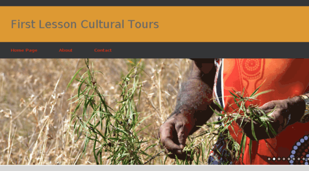 firstlessonculturaltours.com.au