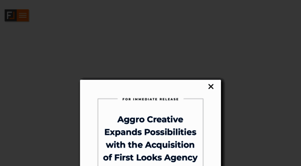 firstlooksagency.com