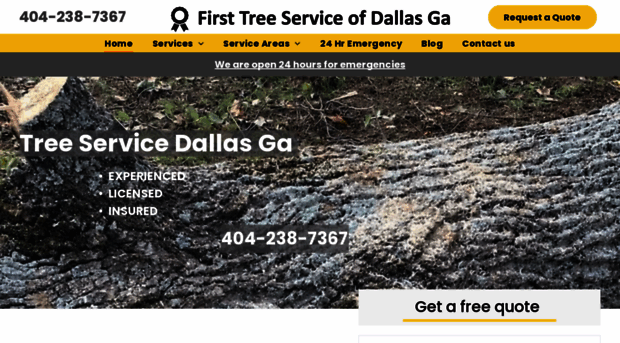 firsttreeservicedallasga.com