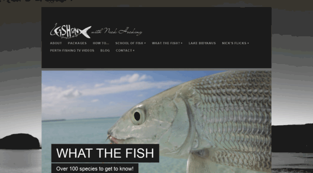 fish-on.com.au