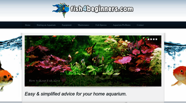 fish4beginners.com