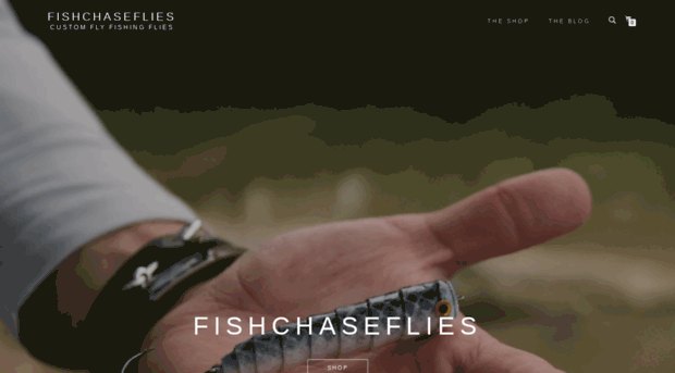 fishchaseflies.com