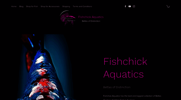 fishchick.com.au