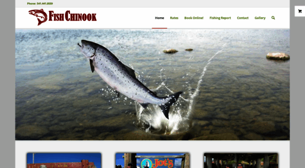 fishchinook.com