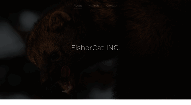 fishercatinc.com