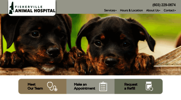 fishervilleanimalhospital.com