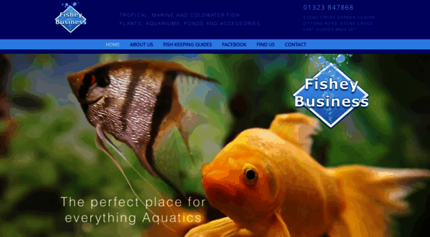 fisheybusiness.co.uk