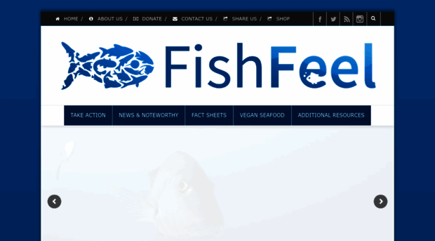 fishfeel.org